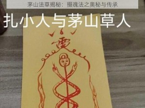 茅山法草揭秘：摄魂法之奥秘与传承