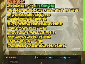 超级地城之光战魂等级提升攻略：全面解析升级途径与策略