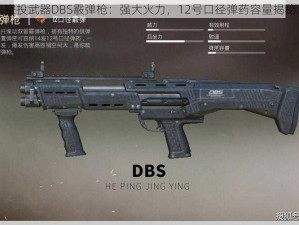 空投武器DBS霰弹枪：强大火力，12号口径弹药容量揭秘