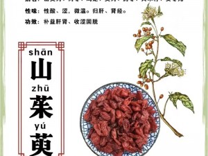 山茱萸的神奇功效：揭示自然之力的宝藏，引领健康新篇章