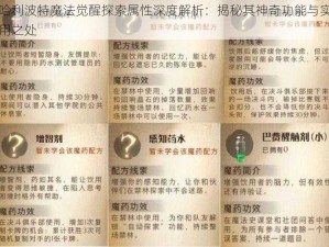 哈利波特魔法觉醒探索属性深度解析：揭秘其神奇功能与实用之处