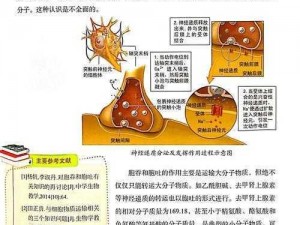 类囊体多层次膜结构探索之旅——迈向现代生物学的新领域