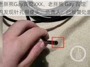 老胖熊Gay宾馆XXX、老胖熊 Gay 宾馆内发现针孔摄像头，负责人：已报警处理