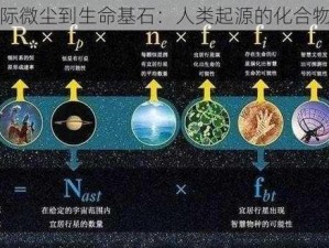 从星际微尘到生命基石：人类起源的化合物之旅