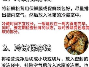 松茸保存秘诀：有效保鲜方法与技巧大解析