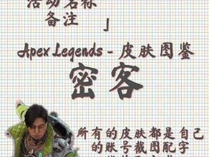 Apex英雄人物闪耀光辉：传奇英雄名字背后的故事与荣耀时刻