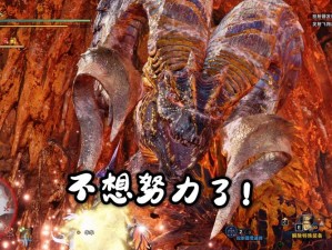 MHW24年绚辉龙活动全程时间表揭秘：从初露锋芒到璀璨绽放的绚烂之旅