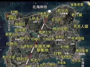 和平精英中传群岛攻略：掌握玩法技巧，征服游戏海域的秘籍