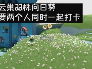 光遇7月29日友节庆典：双盘向日葵所在地揭秘与代币高效收集攻略