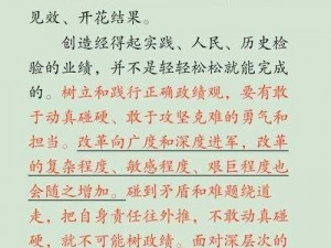 凌云壮志显卓越，诺政绩提升攻略大揭秘：政绩提高方法详解概览