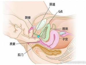 荫蒂高潮大荫蒂毛茸茸;荫蒂高潮大荫蒂毛茸茸，这种体验让她欲罢不能