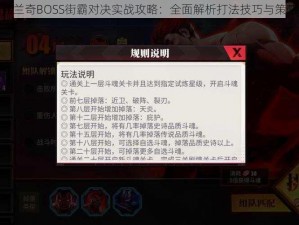 林卫弗兰奇BOSS街霸对决实战攻略：全面解析打法技巧与策略分享