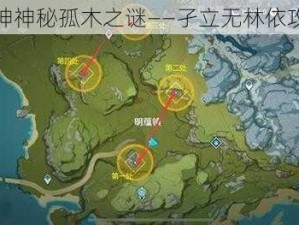 探寻原神神秘孤木之谜——孑立无林依攻略指南