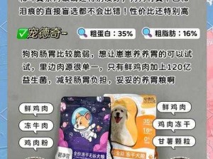 龙族幻想：狗粮获取攻略，轻松获取喂养宠物的必备资源