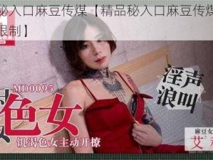 精品秘入口麻豆传煤【精品秘入口麻豆传煤，观看无限制】