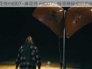 麻花传mt007—麻花传 mt007：探寻神秘组织的秘密