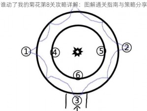 谁动了我的菊花第8关攻略详解：图解通关指南与策略分享