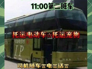 yingdan大巴车;如何乘坐 Yingdan 大巴车？