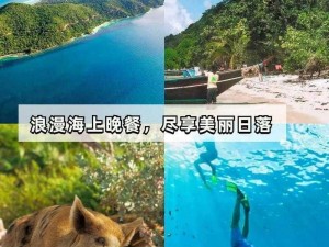 开拓猪之岛：探索神秘生态，领略猪岛魅力之旅岛趣概览揭秘大自然和谐之韵