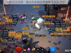 火炬之光无限：猫女的武器选择策略与实战分析