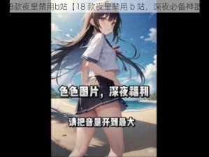 18款夜里禁用b站【18 款夜里禁用 b 站，深夜必备神器】