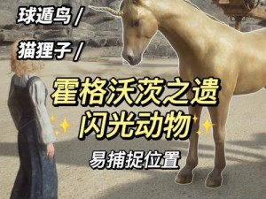 霍格沃茨之遗独角兽捕捉攻略：全面解析独角兽抓法教学