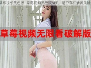 草莓视频黄色版—草莓视频黄色版APP，是否存在涉黄风险？