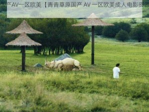 青青草原国产AV一区欧美【青青草原国产 AV 一区欧美成人电影资源免费观看】