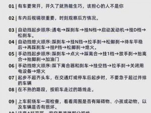 做个老司机：电脑版下载攻略及详细安装说明全解析