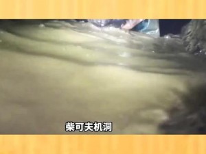 沙雕日记揭秘：山洞探险与美女洗澡的温馨攻略之旅