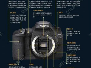 canon、你如何看待 Canon 在相机领域的地位和影响力？