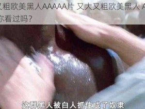 又大又粗欧美黑人AAAAA片 又大又粗欧美黑人 AAAAA 片，你看过吗？