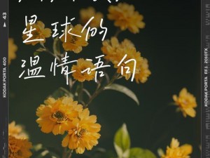 真的狗友相伴，感受温情时光——以狗是真实情感的预览截图揭秘