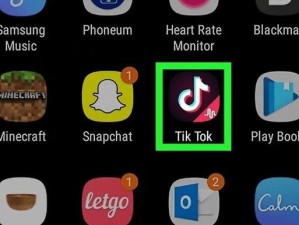 抖音国际版tiktok色板-如何使用抖音国际版 tiktok 色板？