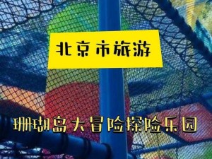 珊瑚岛季节探险攻略：优先活动与精彩体验的季节纪实