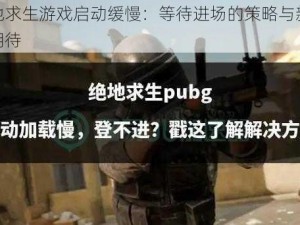 绝地求生游戏启动缓慢：等待进场的策略与新体验期待