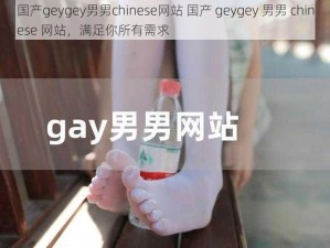 国产geygey男男chinese网站 国产 geygey 男男 chinese 网站，满足你所有需求