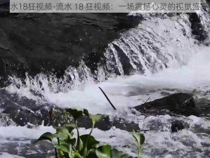 流水18狂视频-流水 18 狂视频：一场震撼心灵的视觉盛宴