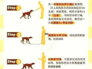 k9犬奴化训练教程日记;K9 犬奴化训练教程日记：从入门到精通