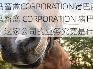 人马畜禽CORPORATION猪巴西 人马畜禽 CORPORATION 猪巴西，这家公司的业务究竟是什么？