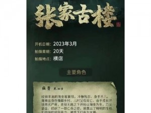 老九门手游张家古楼卡任务攻略分享：探索解决难题的实用方法与技巧指引