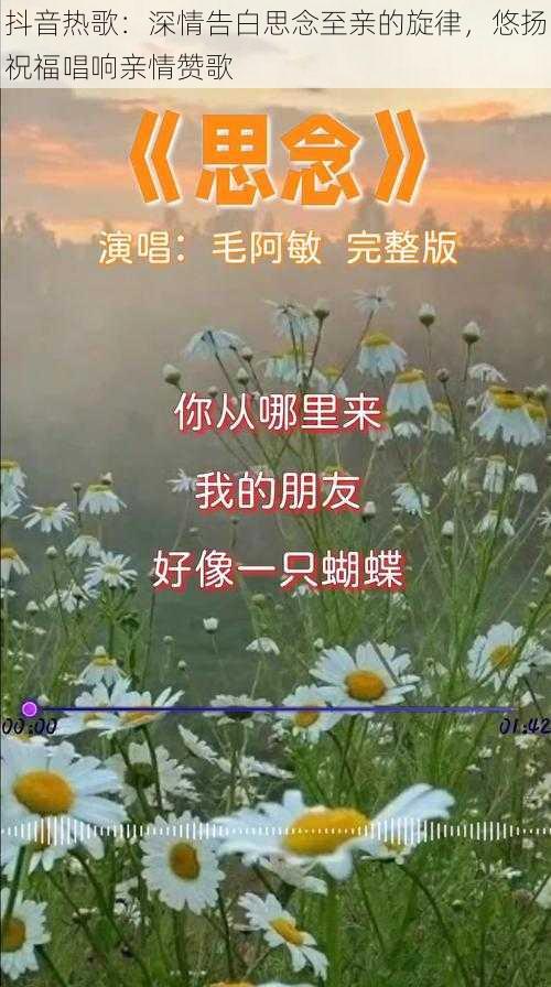 抖音热歌：深情告白思念至亲的旋律，悠扬祝福唱响亲情赞歌