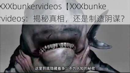 XXXbunkervideos【XXXbunkervideos：揭秘真相，还是制造阴谋？】