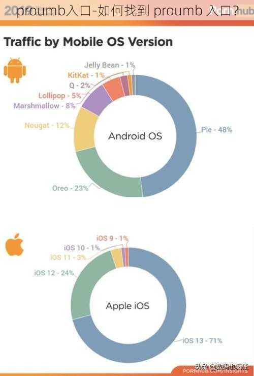proumb入口-如何找到 proumb 入口？
