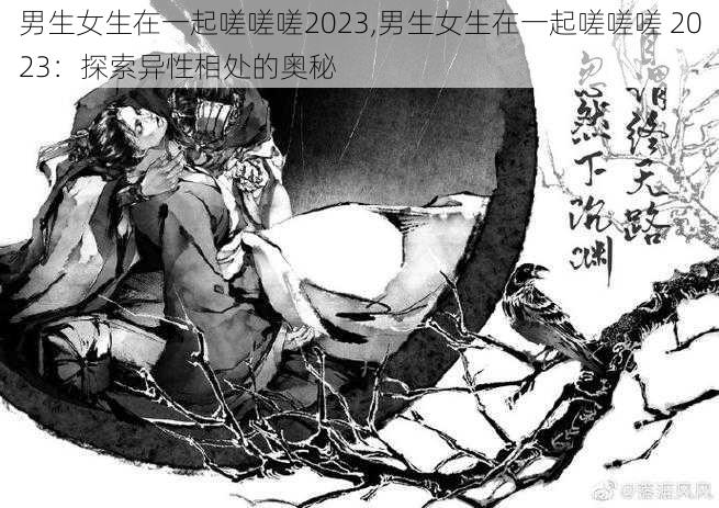 男生女生在一起嗟嗟嗟2023,男生女生在一起嗟嗟嗟 2023：探索异性相处的奥秘