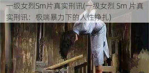 一级女烈Sm片真实刑讯(一级女烈 Sm 片真实刑讯：极端暴力下的人性挣扎)