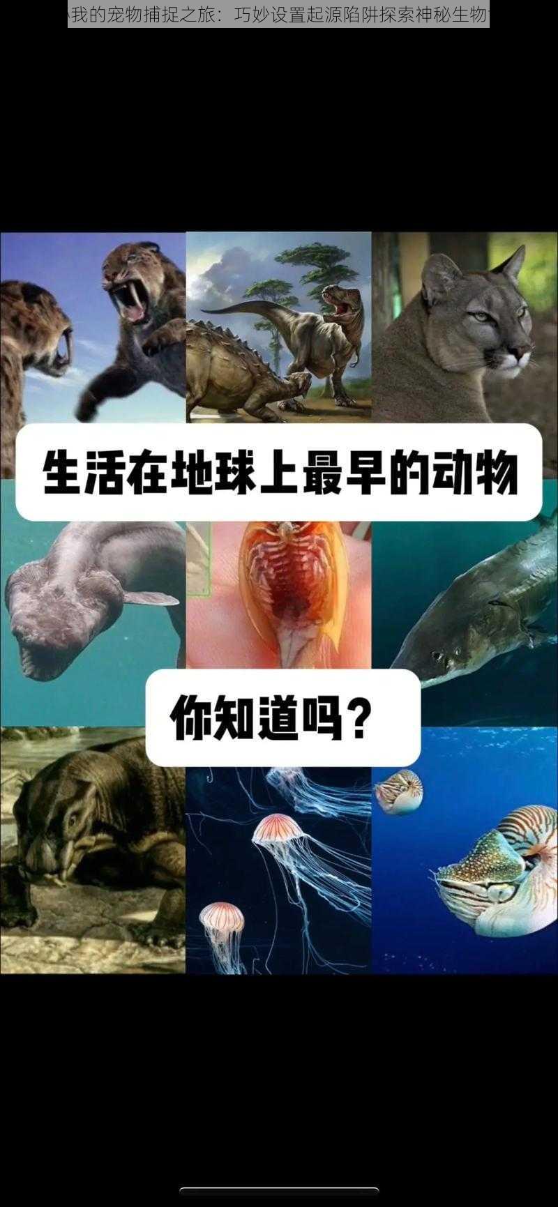 揭秘我的宠物捕捉之旅：巧妙设置起源陷阱探索神秘生物世界