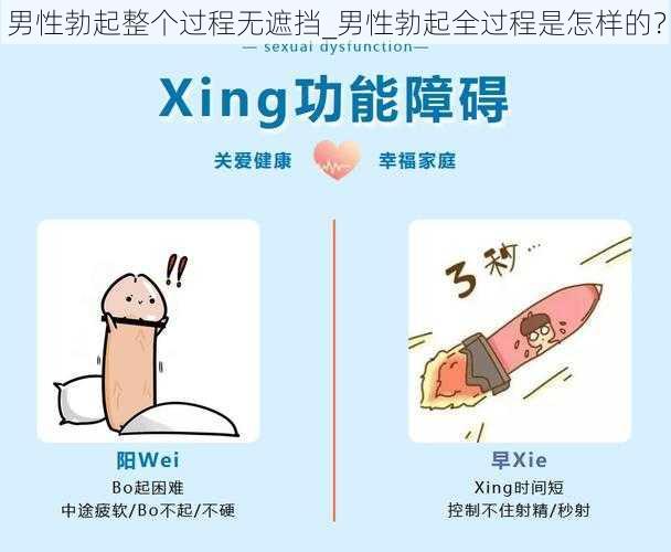 男性勃起整个过程无遮挡_男性勃起全过程是怎样的？