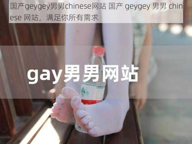 国产geygey男男chinese网站 国产 geygey 男男 chinese 网站，满足你所有需求