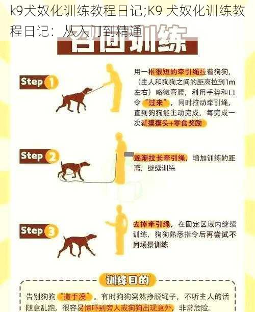 k9犬奴化训练教程日记;K9 犬奴化训练教程日记：从入门到精通